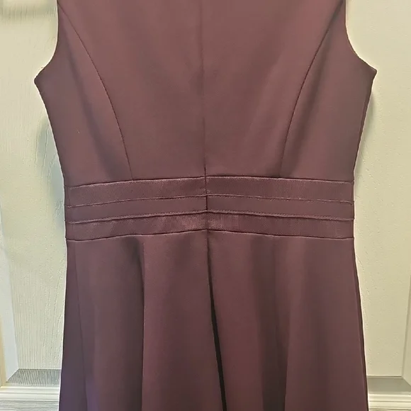Calvin Klein Sleeveless, Plum Dress, Fitted Bodice, Flare Skirt, Size 6P - Picture 6 of 6